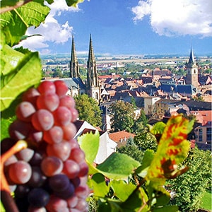 The Schenkenberg wine trail