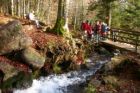 Cascade du Hohwald © C.FLEITH