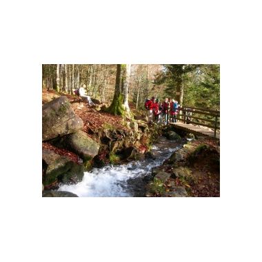 Cascade du Hohwald © C.FLEITH