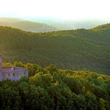 Spesbourg Castle