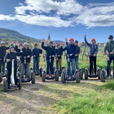 Mobilboard Alsace - Vignobles