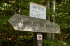 Le Donon, montagne sacrée Crédit photo : Office de tourisme de la vallée de la Bruche / Stéphane Spach