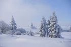 Ski de fond au Champ du Feu