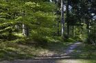 Sentier de la poésie en terre de Salm