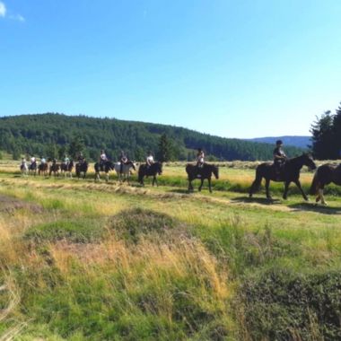 Cheval Alsace