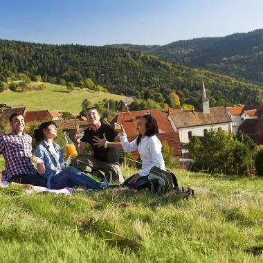 INFRA ADT BAS-RHIN MASSIF DES VOSGES