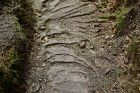 Le sentier du Château de Salm. La Broque. Crédit photo : Office de tourisme de la vallée de la Bruche