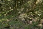 Le sentier du Château de Salm. La Broque. Crédit photo : Office de tourisme de la vallée de la Bruche