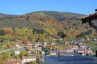 Location de vacances de M. et Mme FELDER à Neuviller la Roche