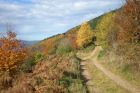 En automne
© Chez Florine