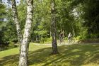 Plateau des Milles Etangs -®INFRA MASSIF DES VOSGES