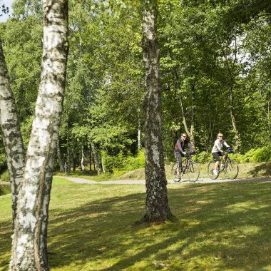 Plateau des Milles Etangs -®INFRA MASSIF DES VOSGES