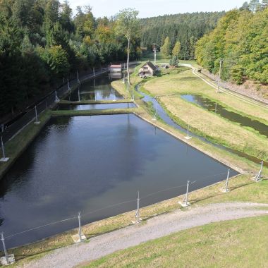 Pisciculture de Sparsbach