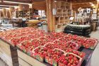 La ferme Maurer