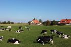 ©Ferme Vogelgesang