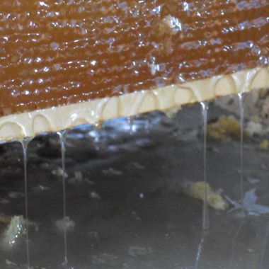 ©Office de Tourisme Région Molsheim-Mutzig