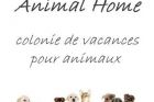 Animal Home
