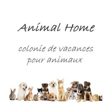 Animal Home