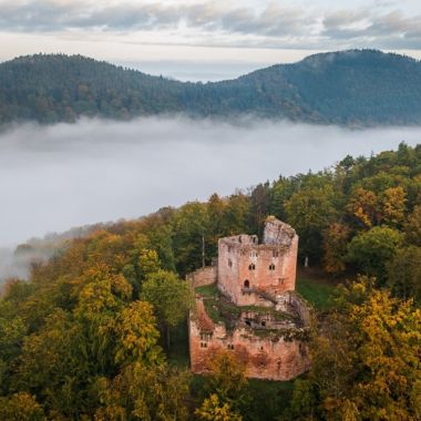 ©OTI de l'Alsace Verte I Cédric SCHELL