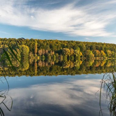 OTi de l'Alsace Verte