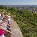 Découverte du vignoble d'Obernai