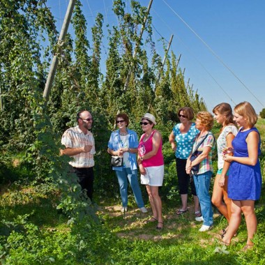 Guided tour of the hop-fields and the biogas plant