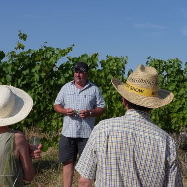 Les 7 Péchés Capiteux des vignerons de Bernardswiller