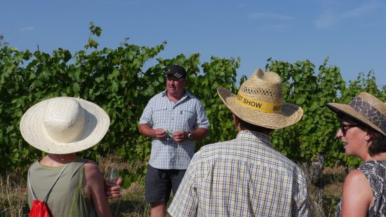 Les 7 Péchés Capiteux des vignerons de Bernardswiller