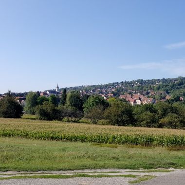 Participatory nature work