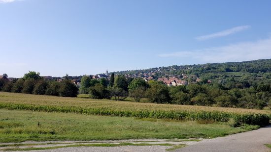 Participatory nature work