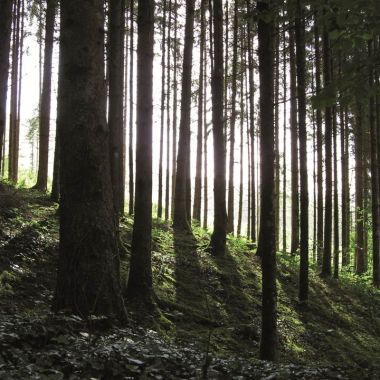 Wandern auf den Spuren der Kelten