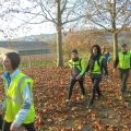 Marche Audax 25 - 50 km - Marche d'Automne