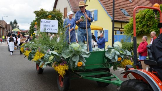 Fête de la choucroute et du folklore