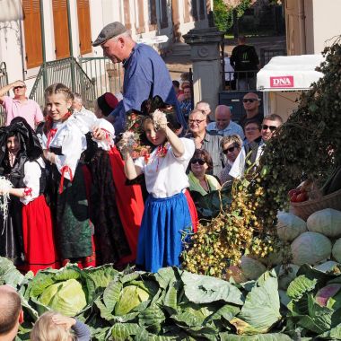 50è Fête de la choucroute-Sürkrütfecht