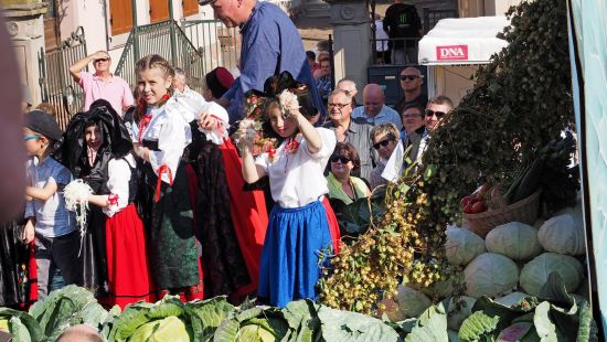 51e Fête de la choucroute-Sürkrütfecht