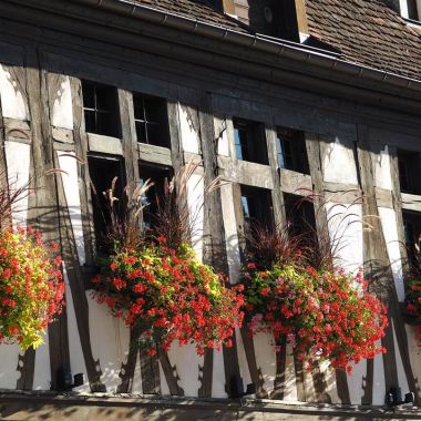 Office de Tourisme d'Obernai