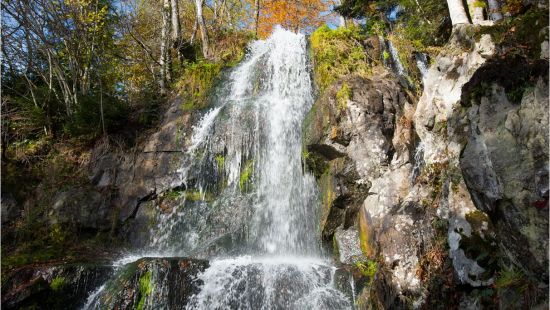 Balade nature - La cascade du Hohwald