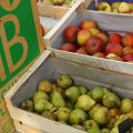 Der Bi'O-Markt