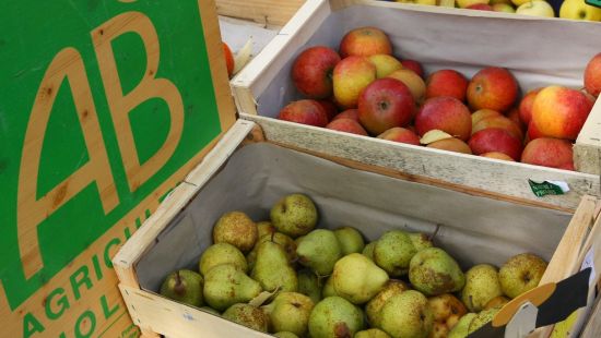 Le marché Bi'O