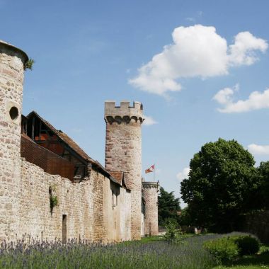 Night guided tour - Obernai along its ramparts