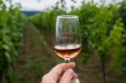 Domaine Motz