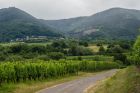 Domaine Motz