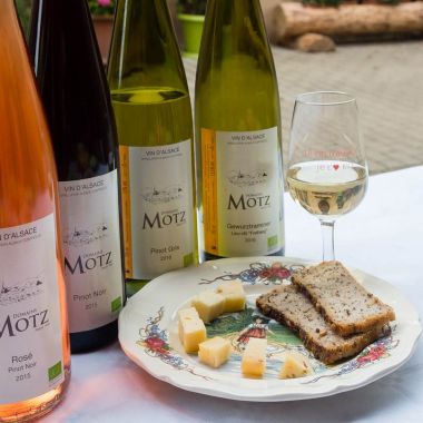 Spaziergang und Weinprobe durch die Weinberge von Bernardswiller