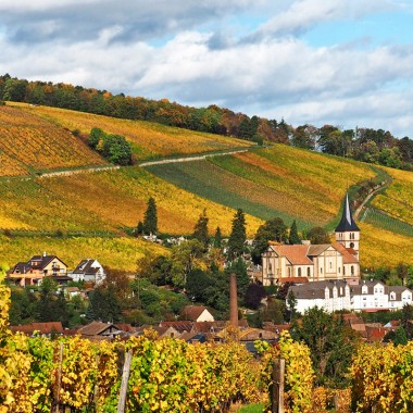 Obernai-Barr vineyard circuit