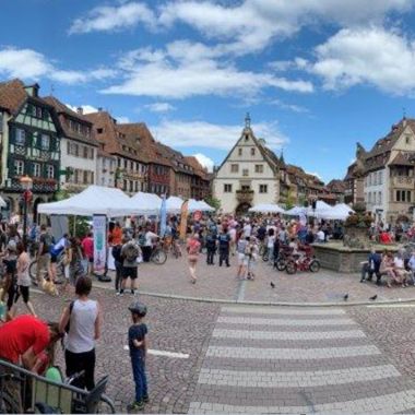 The Piémont des Vosges bicycle festival