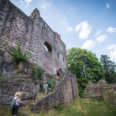 Balade contée médiévale vers le château du Birkenfels