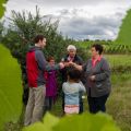 Führung und Weinprobe durch die Weinberge von Bernardswiller