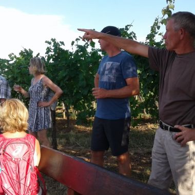 Les 7 Péchés Capiteux des vignerons de Bernardswiller