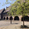 Offene Türen der Musikschule