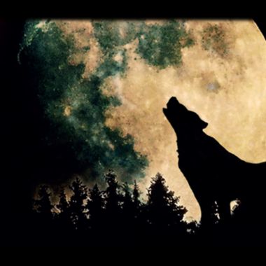Aufführung - Grain de la Lune - Abenteuer im Land der Träume